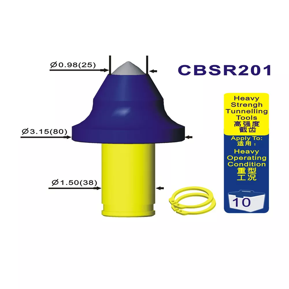 CBSR201